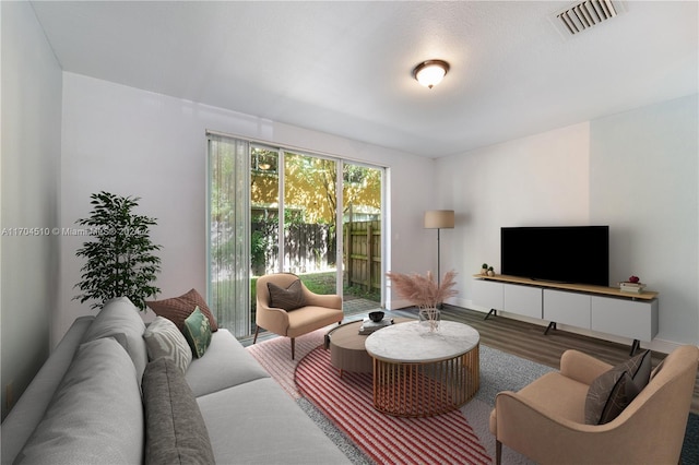 living room featuring hardwood / wood-style floors