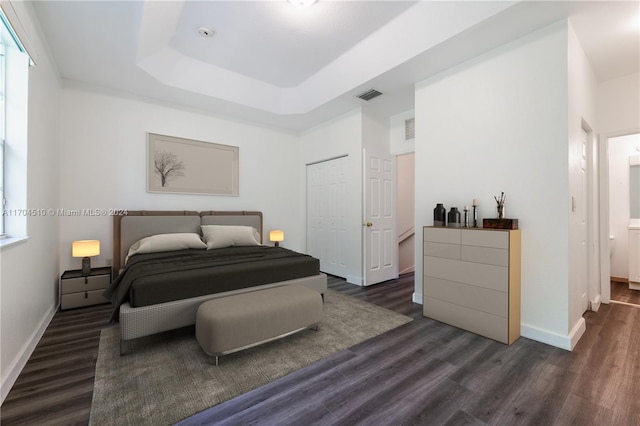 bedroom with a raised ceiling, dark wood-type flooring, and a closet