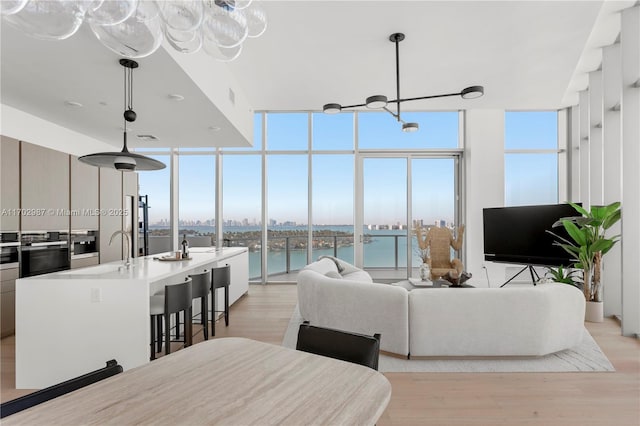 living room featuring floor to ceiling windows, sink, and light hardwood / wood-style floors