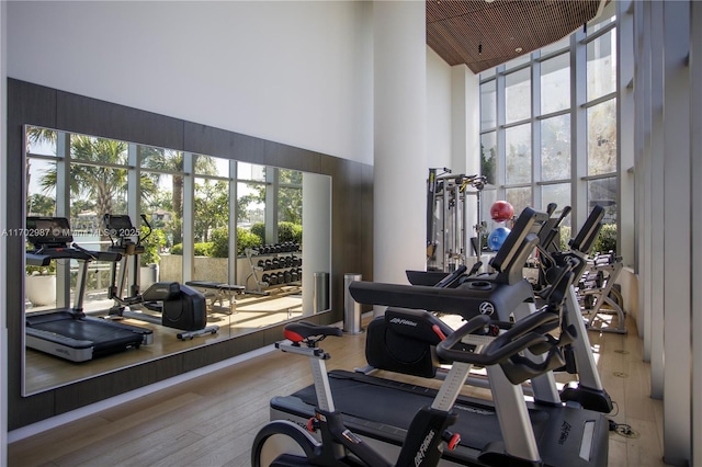 exercise room with a high ceiling and hardwood / wood-style flooring