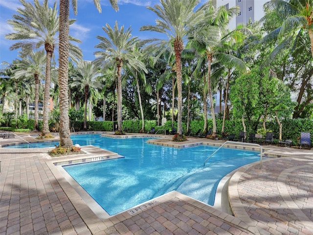 view of swimming pool featuring a patio area