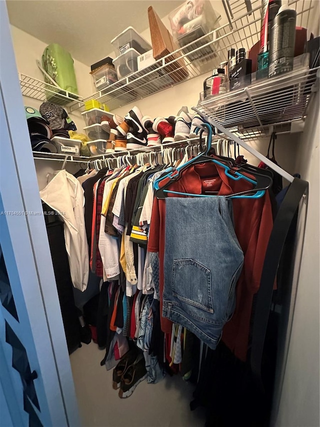 view of spacious closet