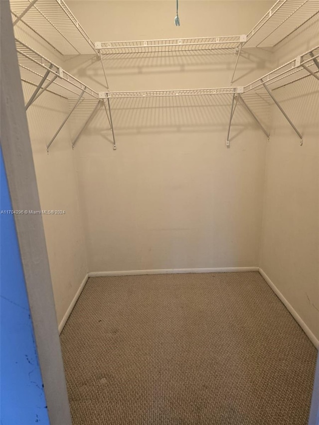 walk in closet with carpet floors