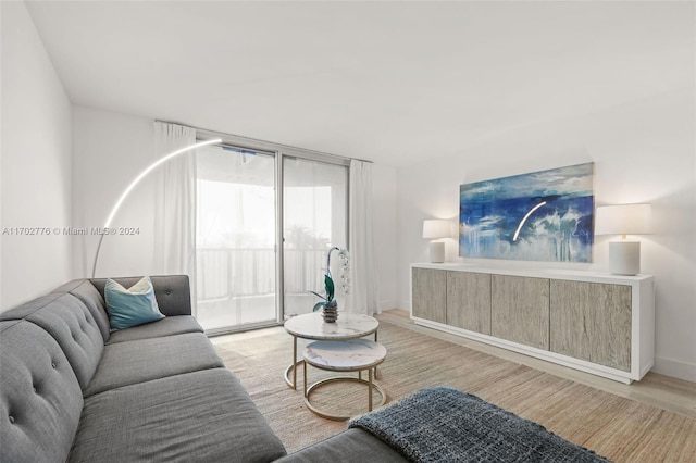 living room with light hardwood / wood-style flooring