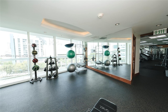 workout area featuring plenty of natural light, a wall of windows, and a tray ceiling