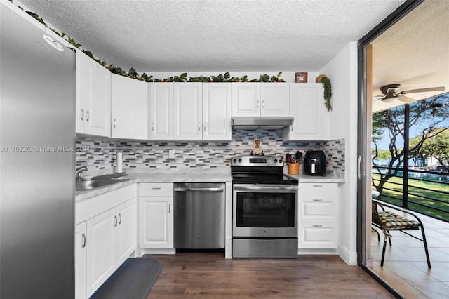 kitchen featuring appliances with stainless steel finishes, dark hardwood / wood-style floors, ceiling fan, and sink