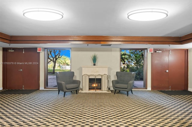 sitting room with dark carpet