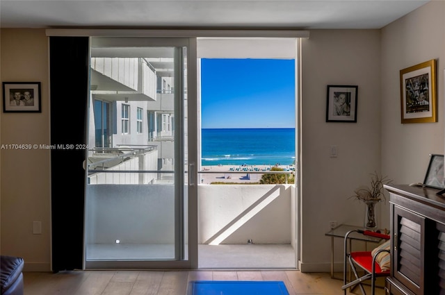 entryway featuring light wood-type flooring, a water view, and a healthy amount of sunlight