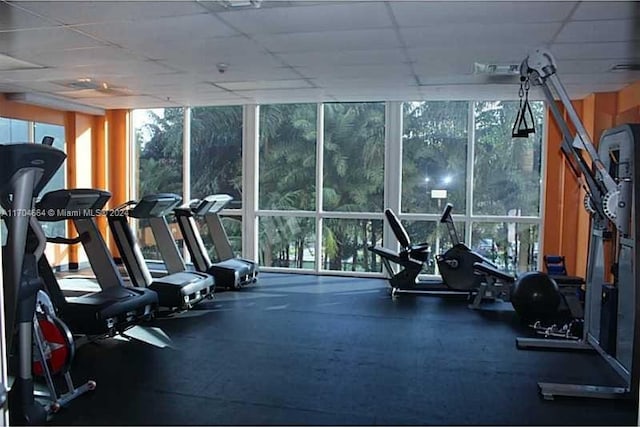 exercise room with a drop ceiling and expansive windows