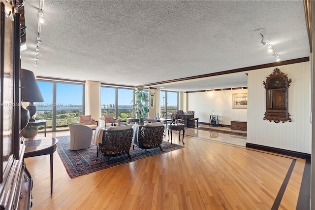 living room featuring plenty of natural light, wood-type flooring, and track lighting