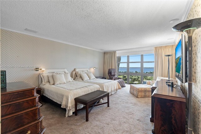 carpeted bedroom with a textured ceiling and ornamental molding