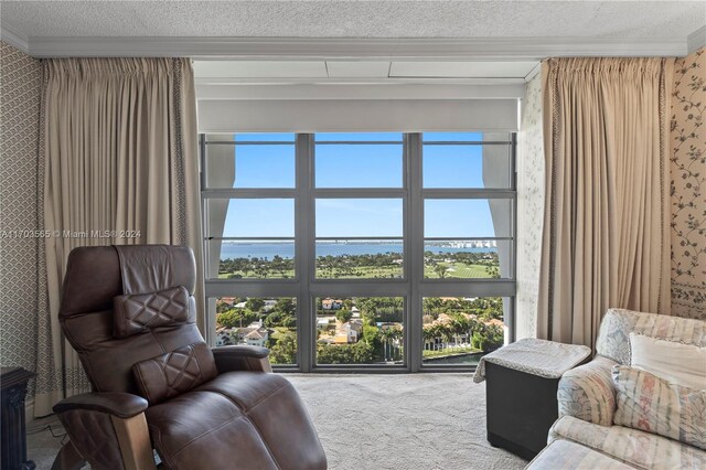 carpeted living room with a textured ceiling and crown molding