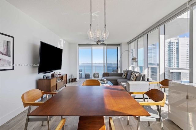 dining room featuring plenty of natural light, expansive windows, and light hardwood / wood-style flooring