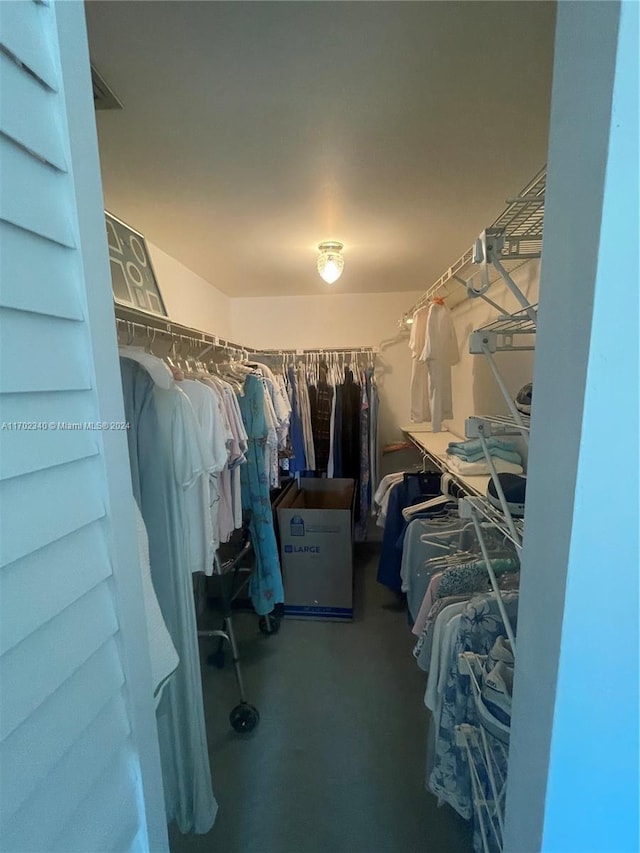 view of walk in closet