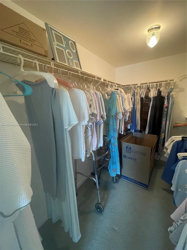 spacious closet featuring carpet flooring