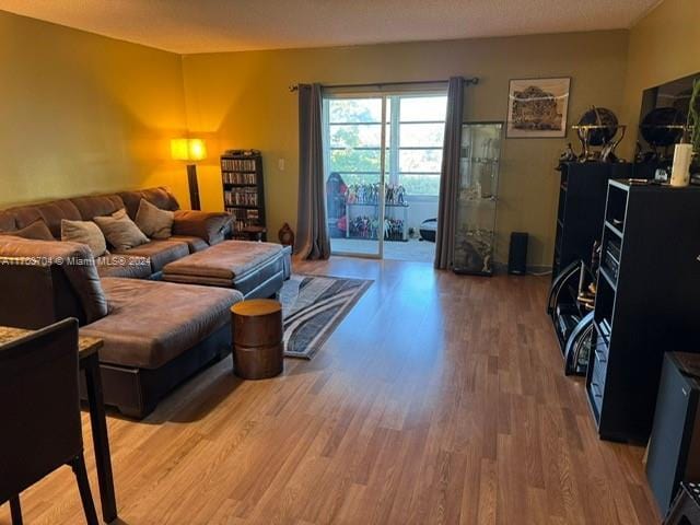 living room with wood-type flooring