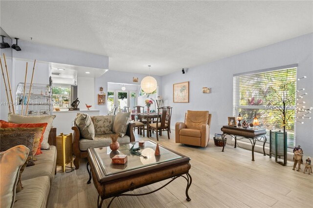 living room featuring light wood-type flooring and a textured ceiling