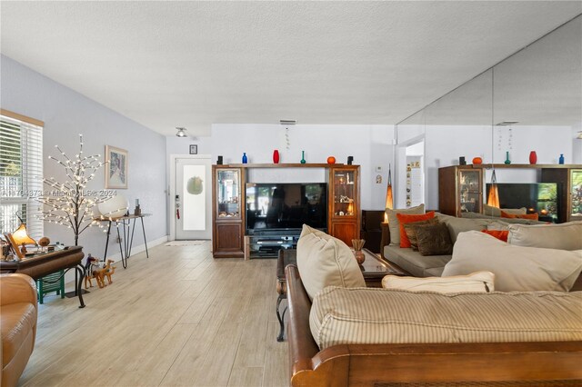 living room with light hardwood / wood-style floors and a textured ceiling