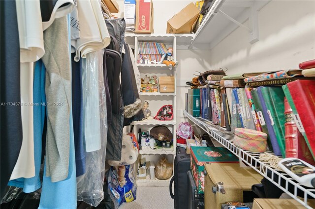 view of spacious closet