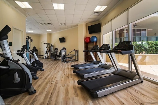 gym featuring a drop ceiling, light hardwood / wood-style floors, ceiling fan, and ornamental molding