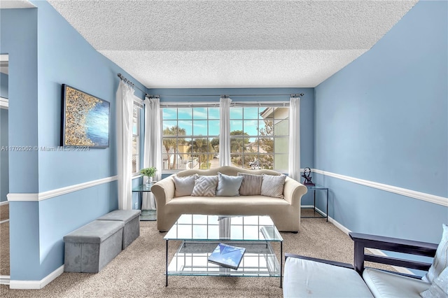 living room with carpet flooring and a textured ceiling