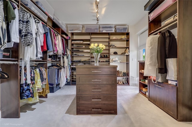 spacious closet featuring light carpet