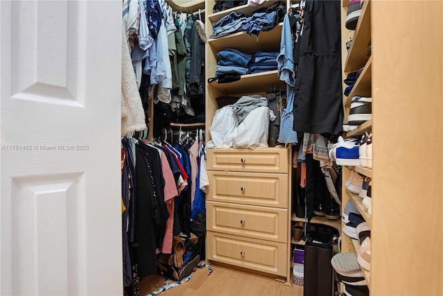 spacious closet featuring light hardwood / wood-style floors