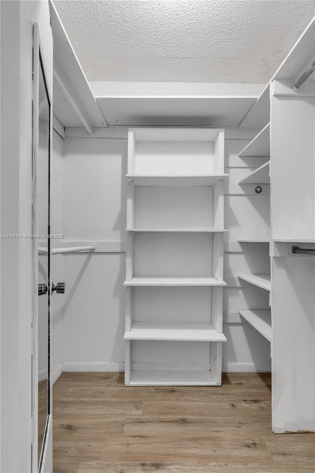 walk in closet with light wood-type flooring