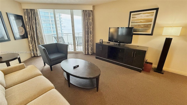 view of carpeted living room