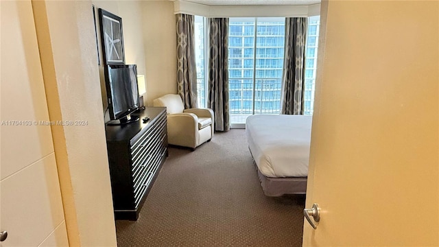 17375 Collins Ave Unit 2406, Sunny Isles Beach, FL 33160 - bedroom featuring carpet flooring