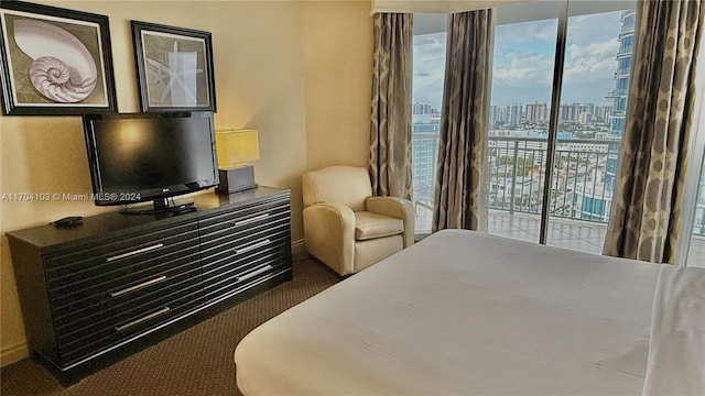 bedroom featuring access to exterior, carpet, and multiple windows