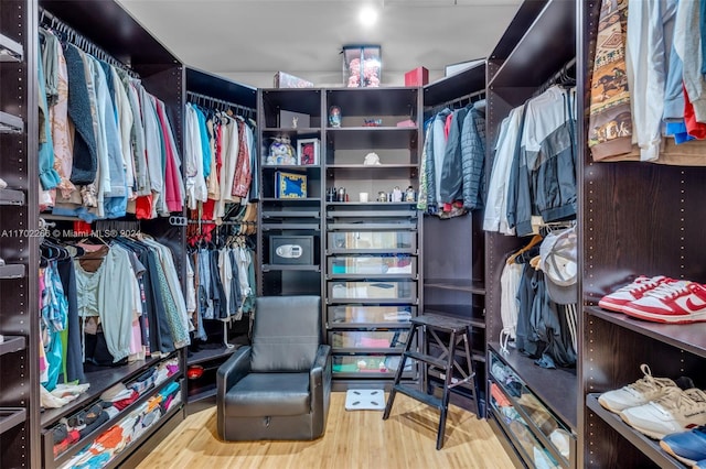 walk in closet with hardwood / wood-style flooring