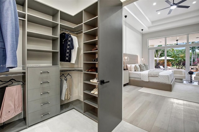 walk in closet featuring light wood-type flooring, a tray ceiling, and ceiling fan