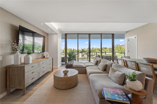 living room with light wood-style floors, expansive windows, a healthy amount of sunlight, and baseboards