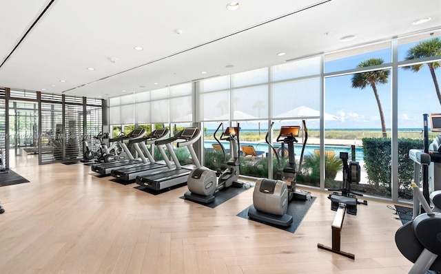 gym featuring a wealth of natural light, light hardwood / wood-style floors, and a wall of windows