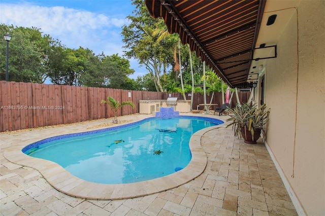 view of swimming pool featuring a patio