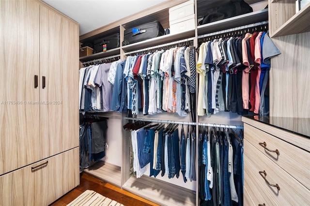 walk in closet featuring dark hardwood / wood-style floors