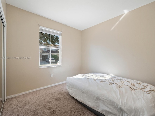 bedroom featuring carpet floors