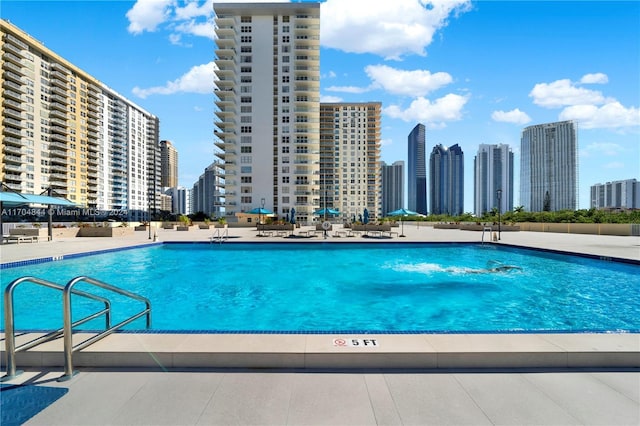 view of swimming pool with a patio area