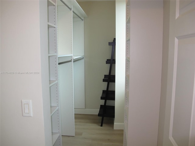 walk in closet with light wood-type flooring