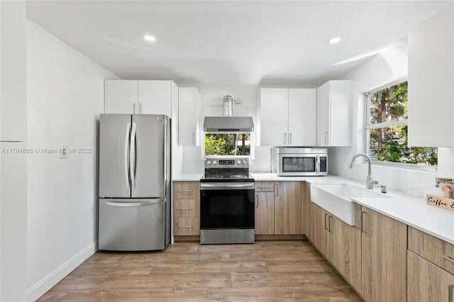 kitchen with white cabinetry, stainless steel appliances, ventilation hood, and sink