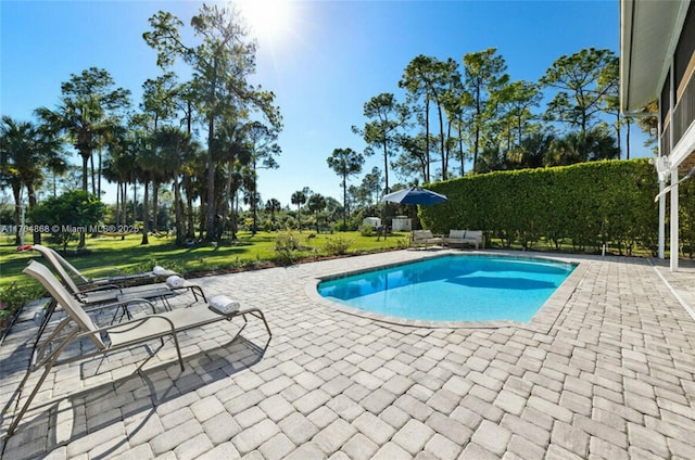 view of swimming pool with a yard and a patio area