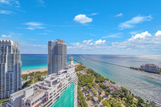 property view of water with a view of the beach