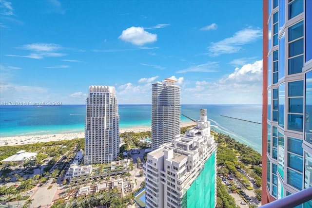 property view of water featuring a beach view