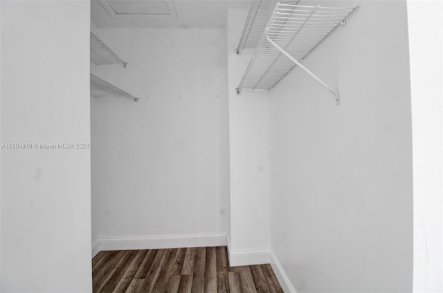 walk in closet with wood finished floors