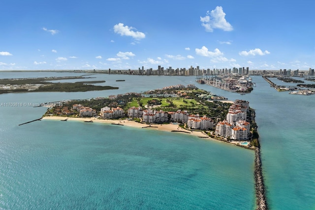 1005 Links Dr, Miami Beach, FL 33109 - photo 23