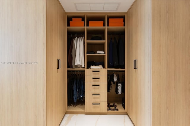 view of closet