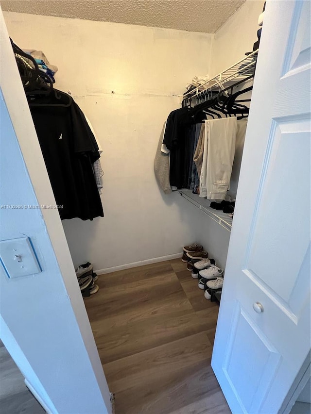 spacious closet with hardwood / wood-style flooring