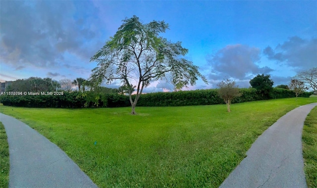 view of home's community with a lawn