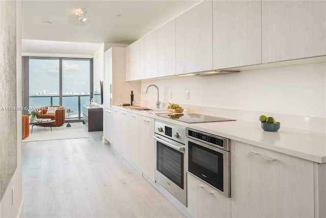 kitchen featuring sink, a water view, light hardwood / wood-style floors, and stainless steel oven